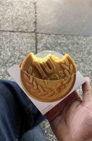 Day 9, Japan