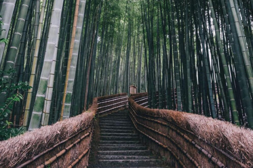 Day 9, Japan