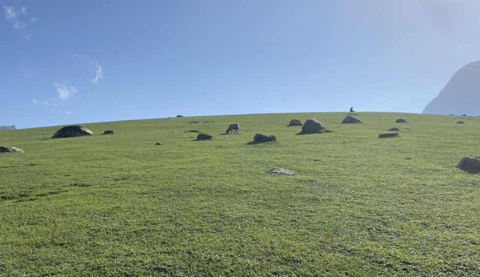 Nichnai to Vishansar