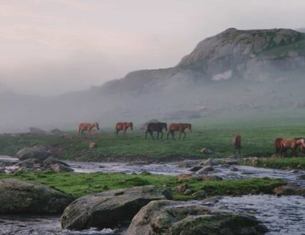 Shekdur valley