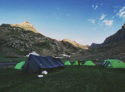 Alpine meadows