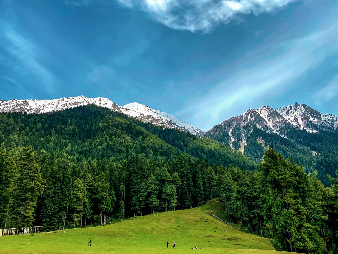 Pahalgam picnic