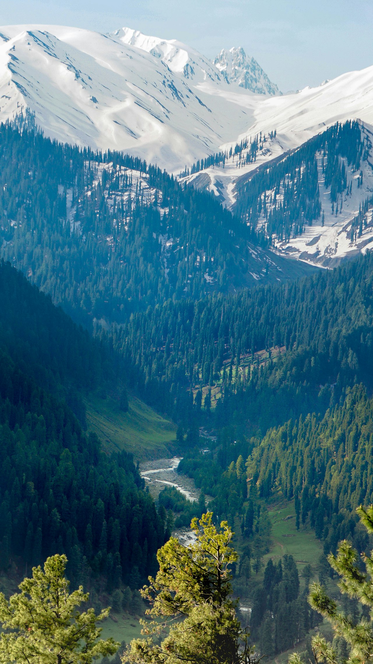 Gulmarg green meadow