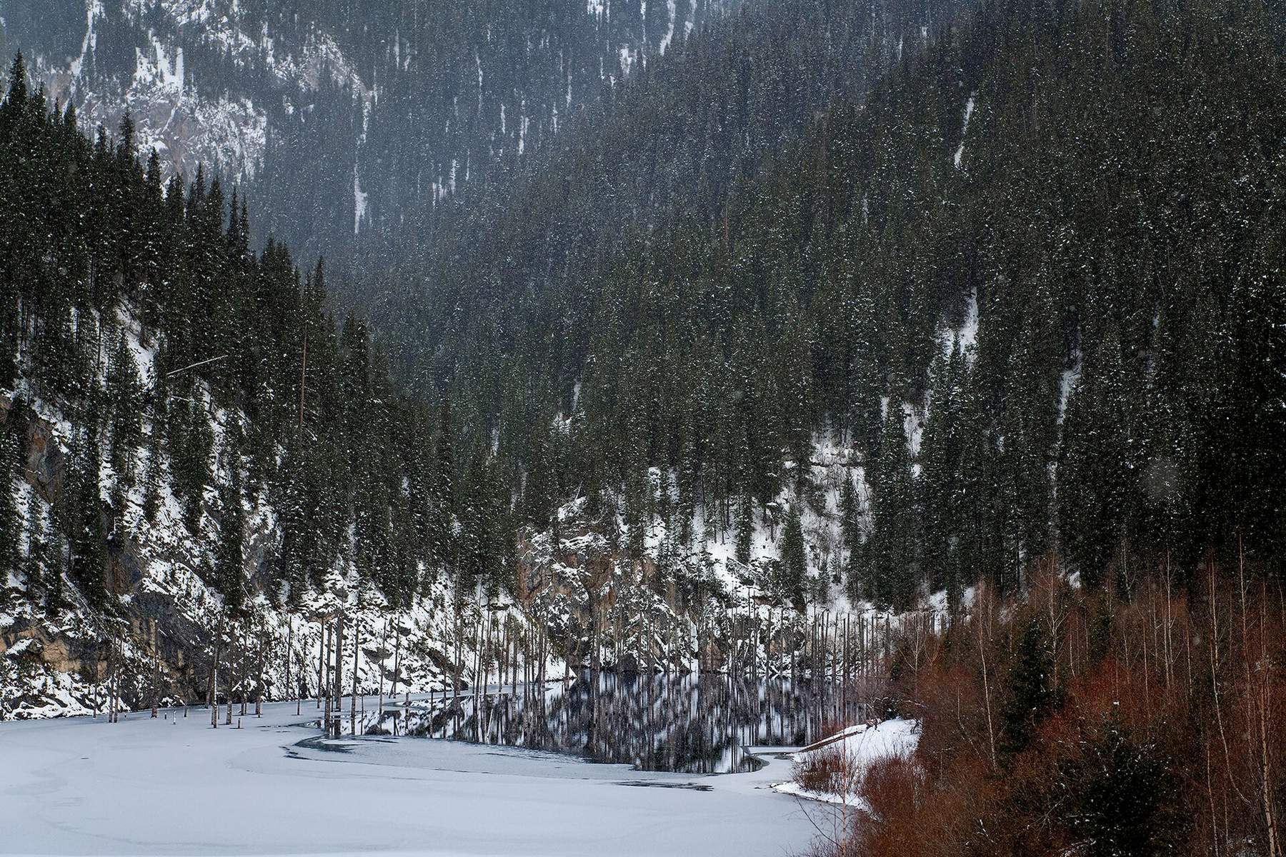 Snowfall over Kaindy Lake, with the sunken spruce trunks standing in the ice
