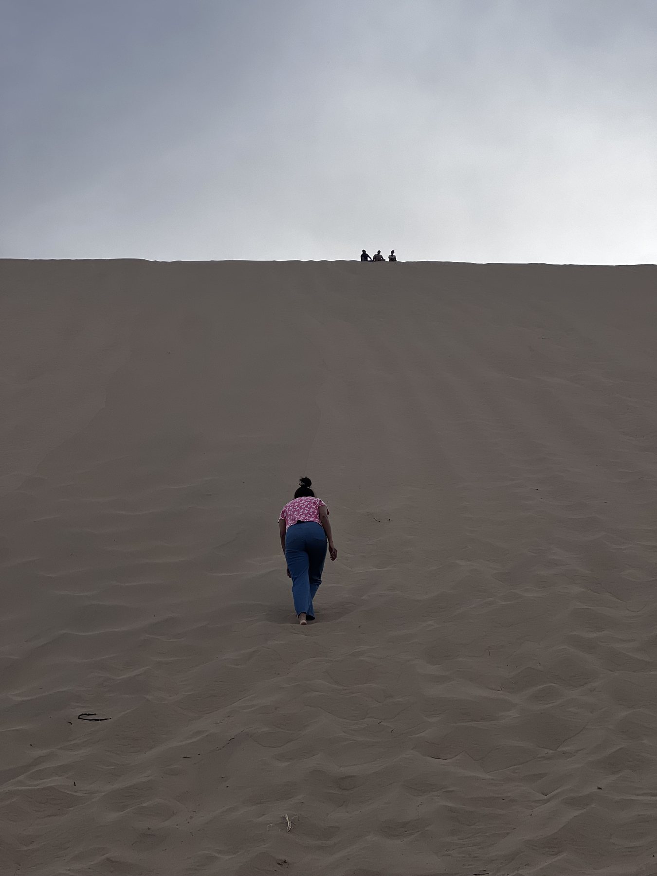 Climbing the Singing Dune