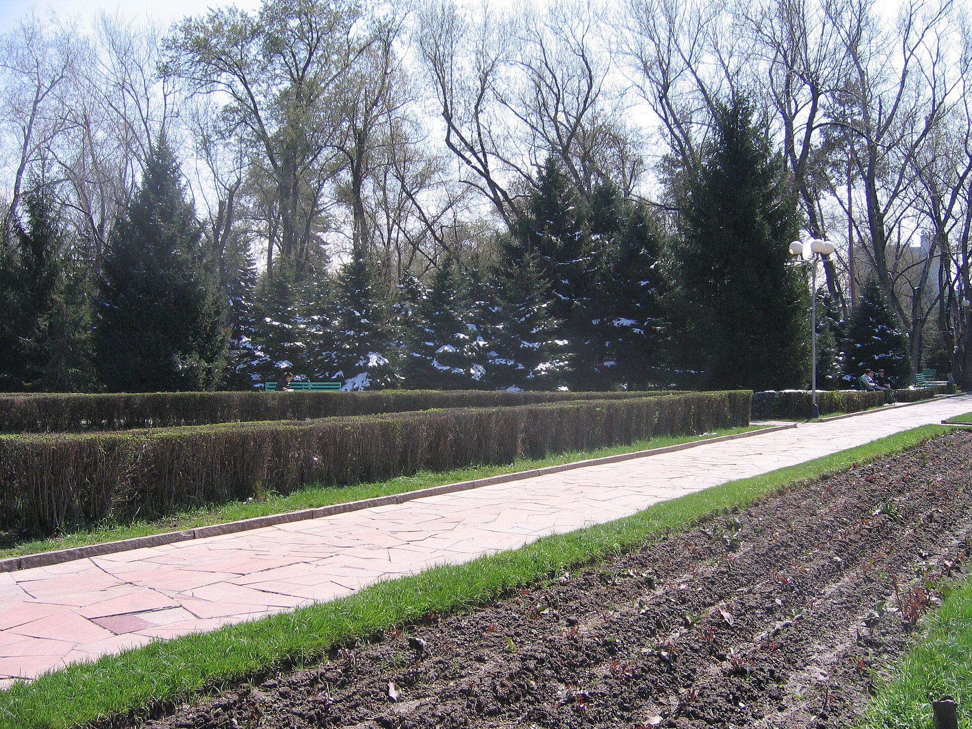 Snow-covered Almaty park trees