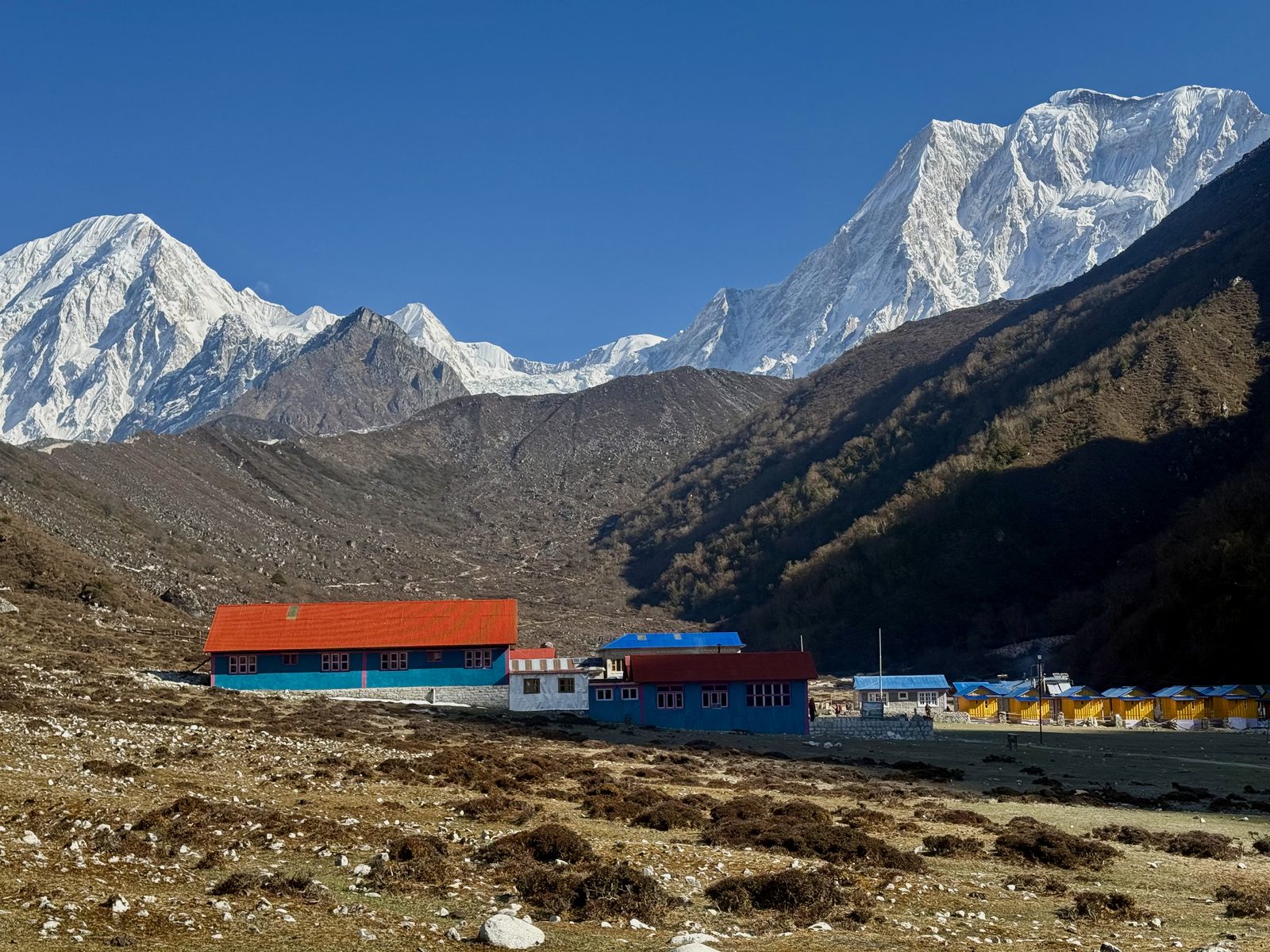 Final descent, green forests of Bimthang