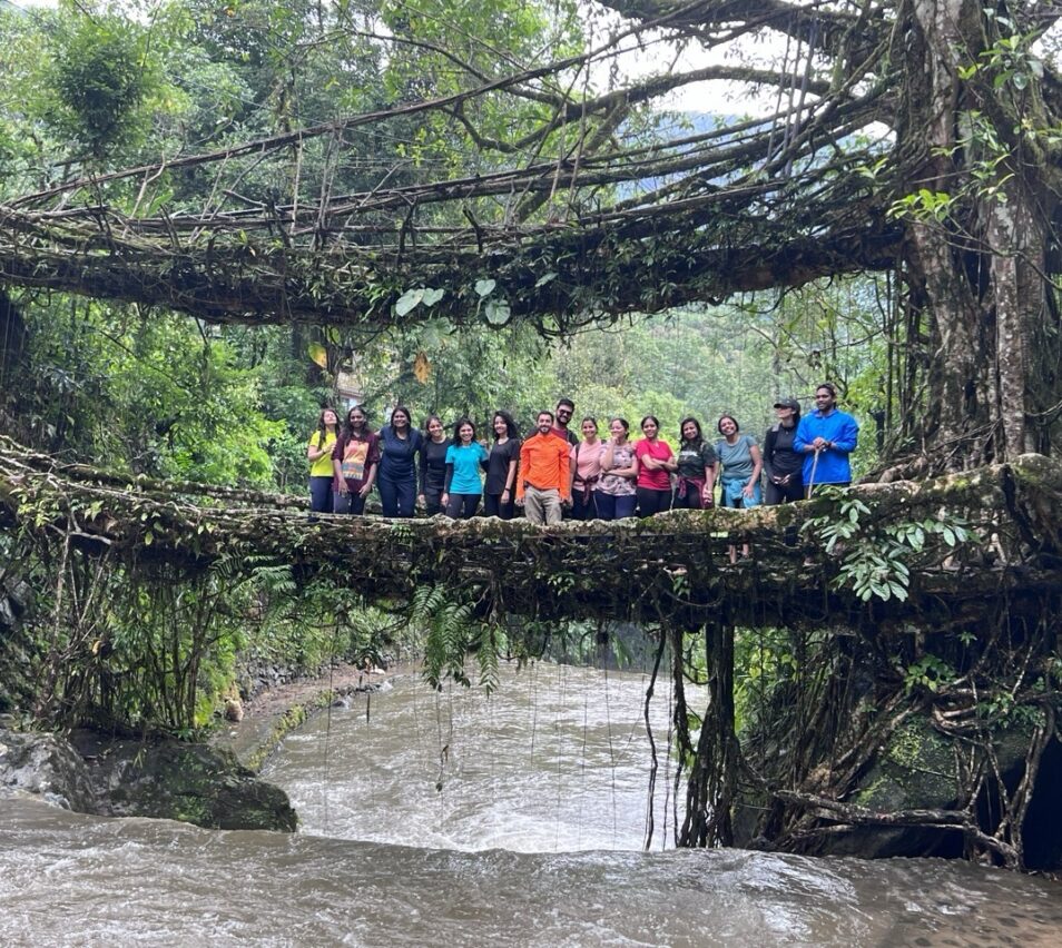 Meghalaya, Day 3: NONGRIAT DOUBLE ROOTS BRIDGE AND RAINBOW FALLS (photo 4 of 4)