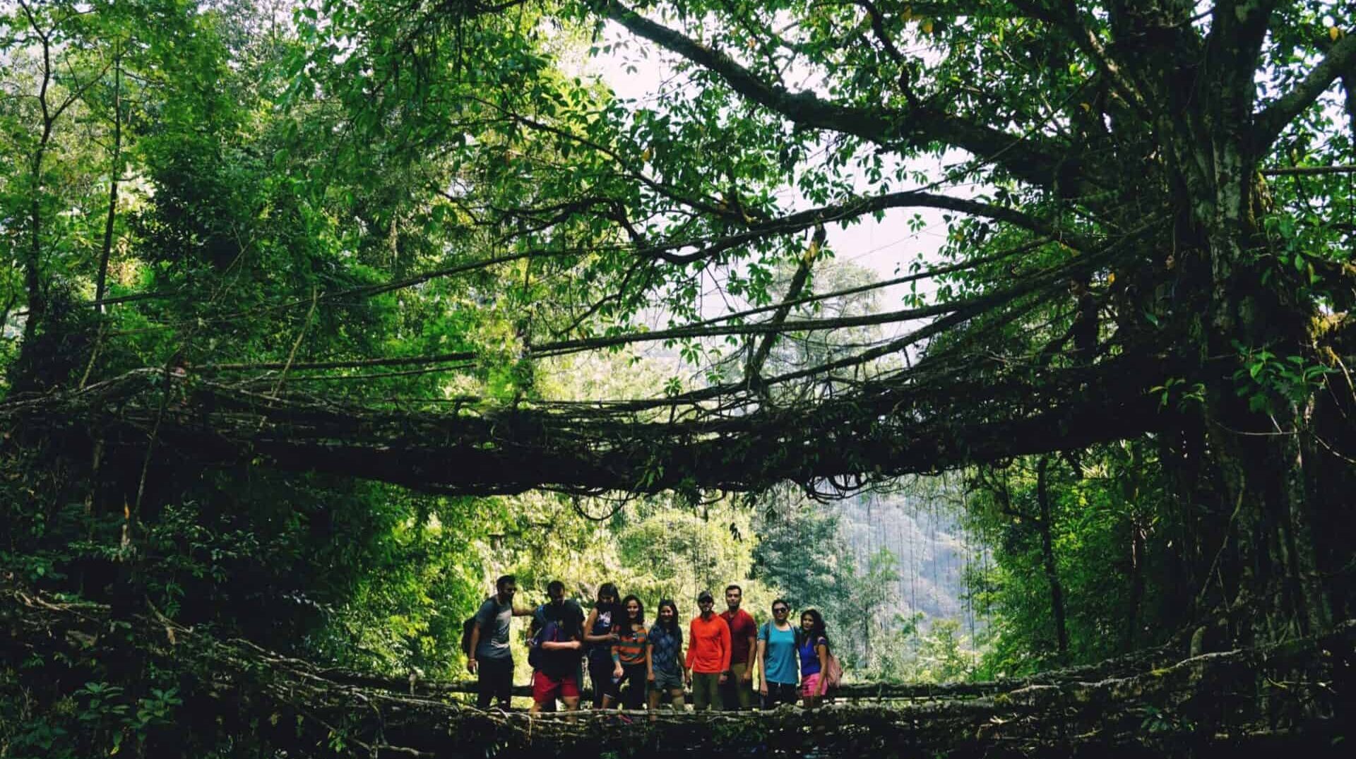 Meghalaya, Day 3: NONGRIAT DOUBLE ROOTS BRIDGE AND RAINBOW FALLS (photo 1 of 4)