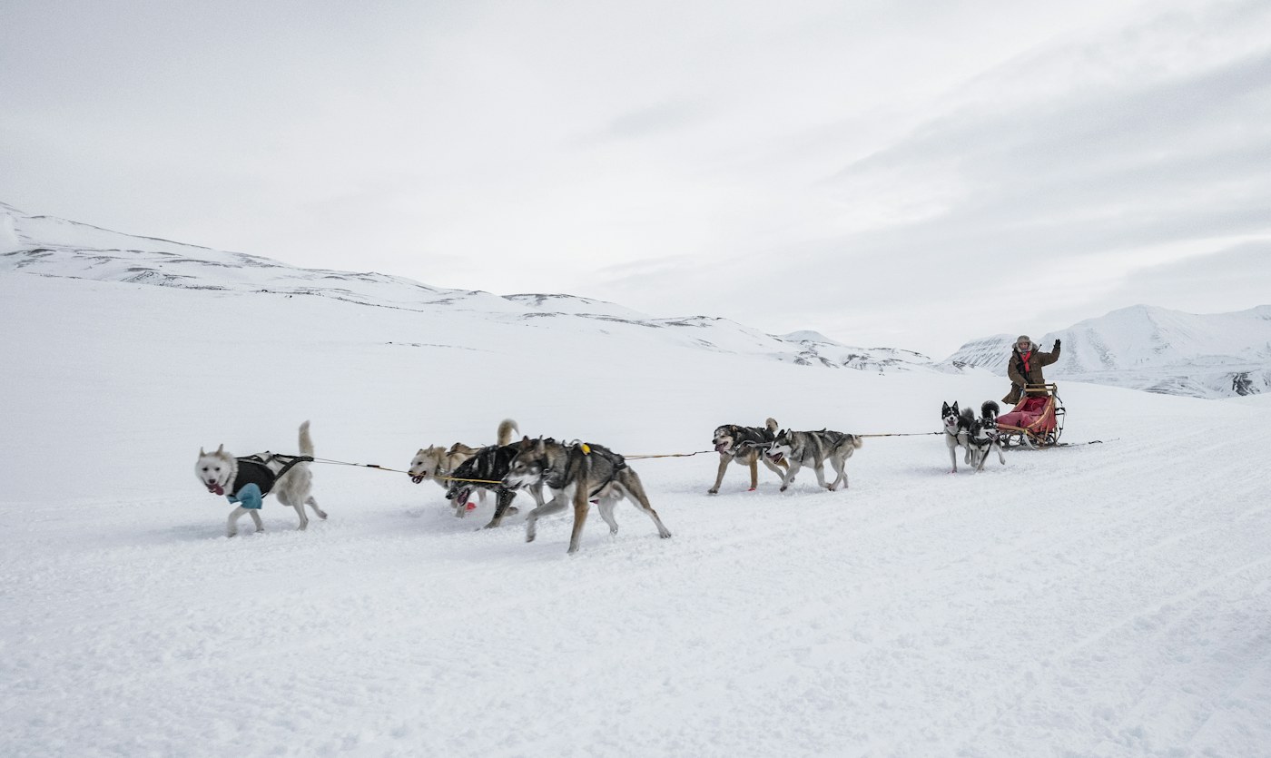 Dog sledding across the frozen lake