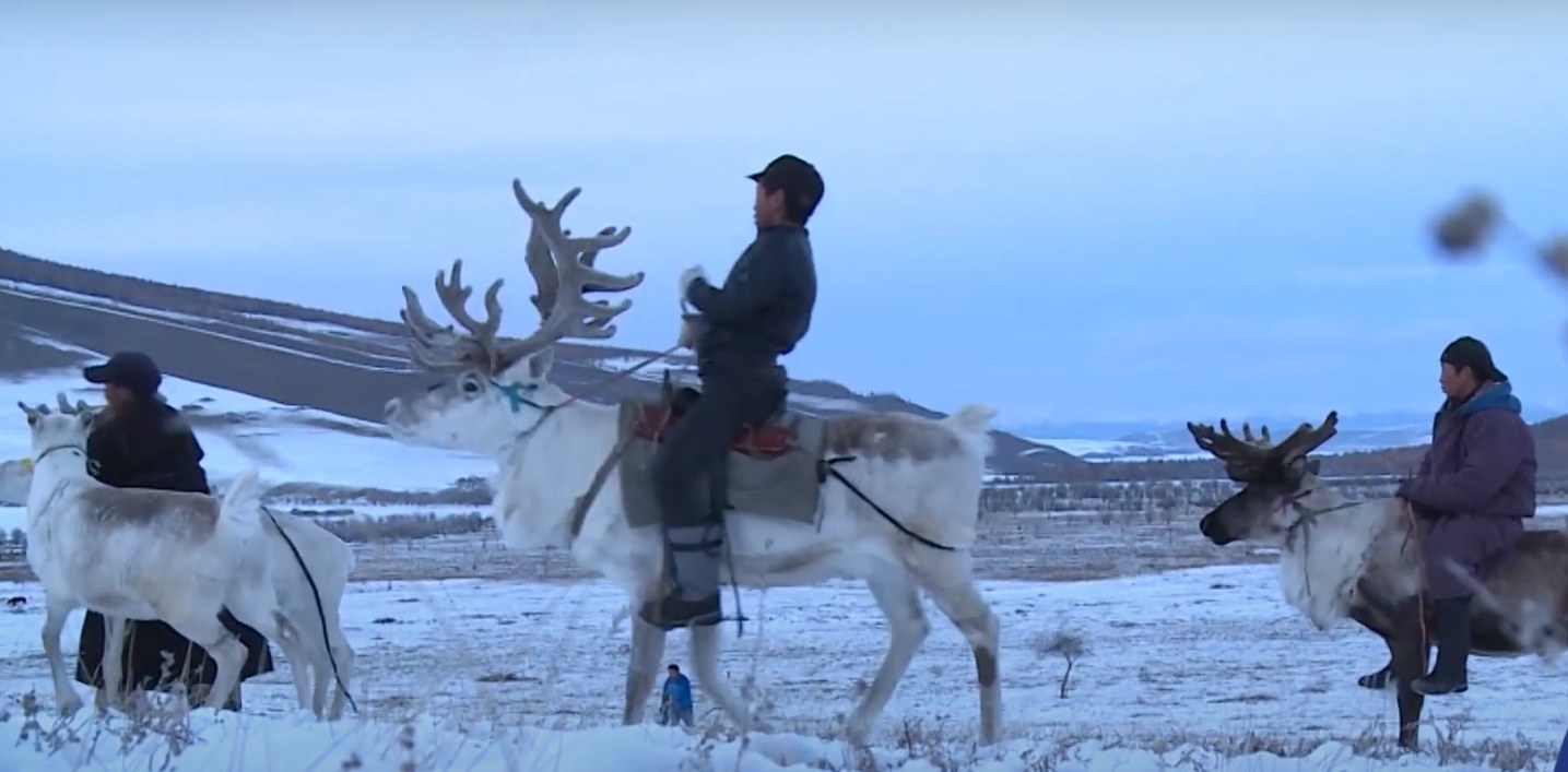 Tsaatan riders on reindeer in the snow
