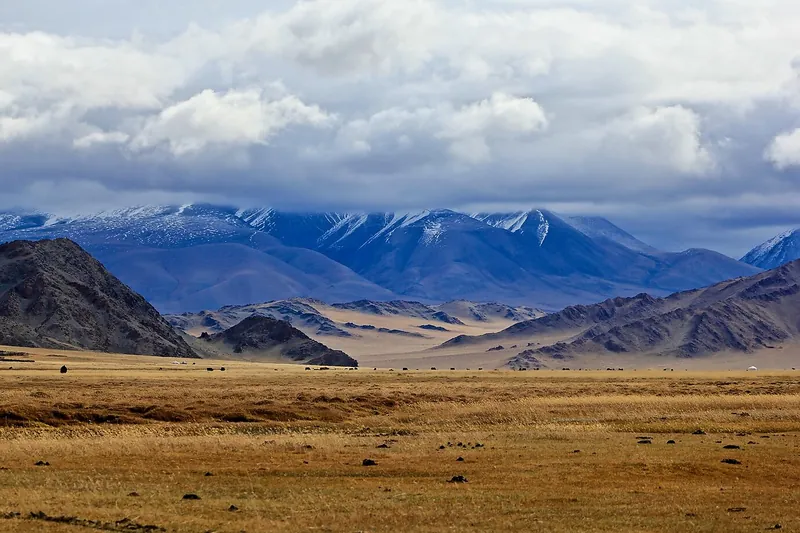 Mongolian nomadic meal of meat and dairy in a ger
