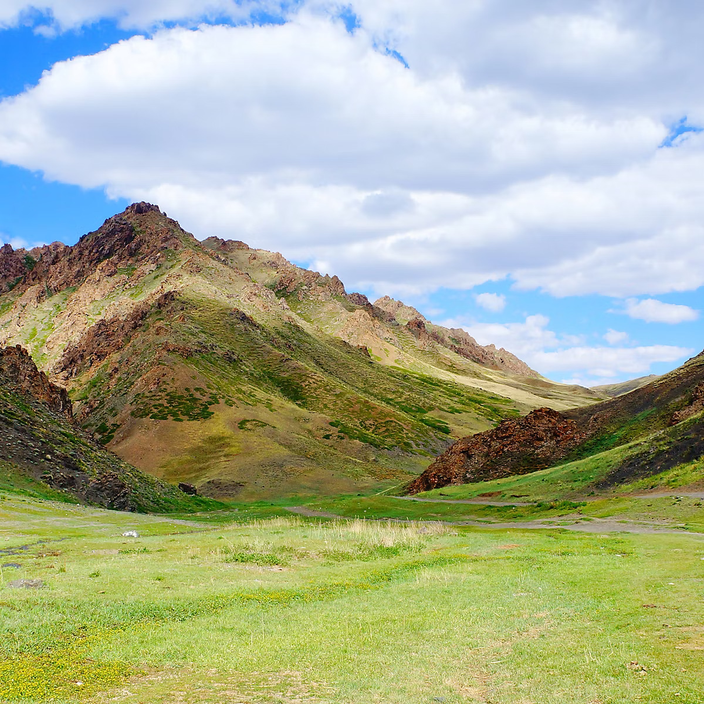 Mongolian steppe