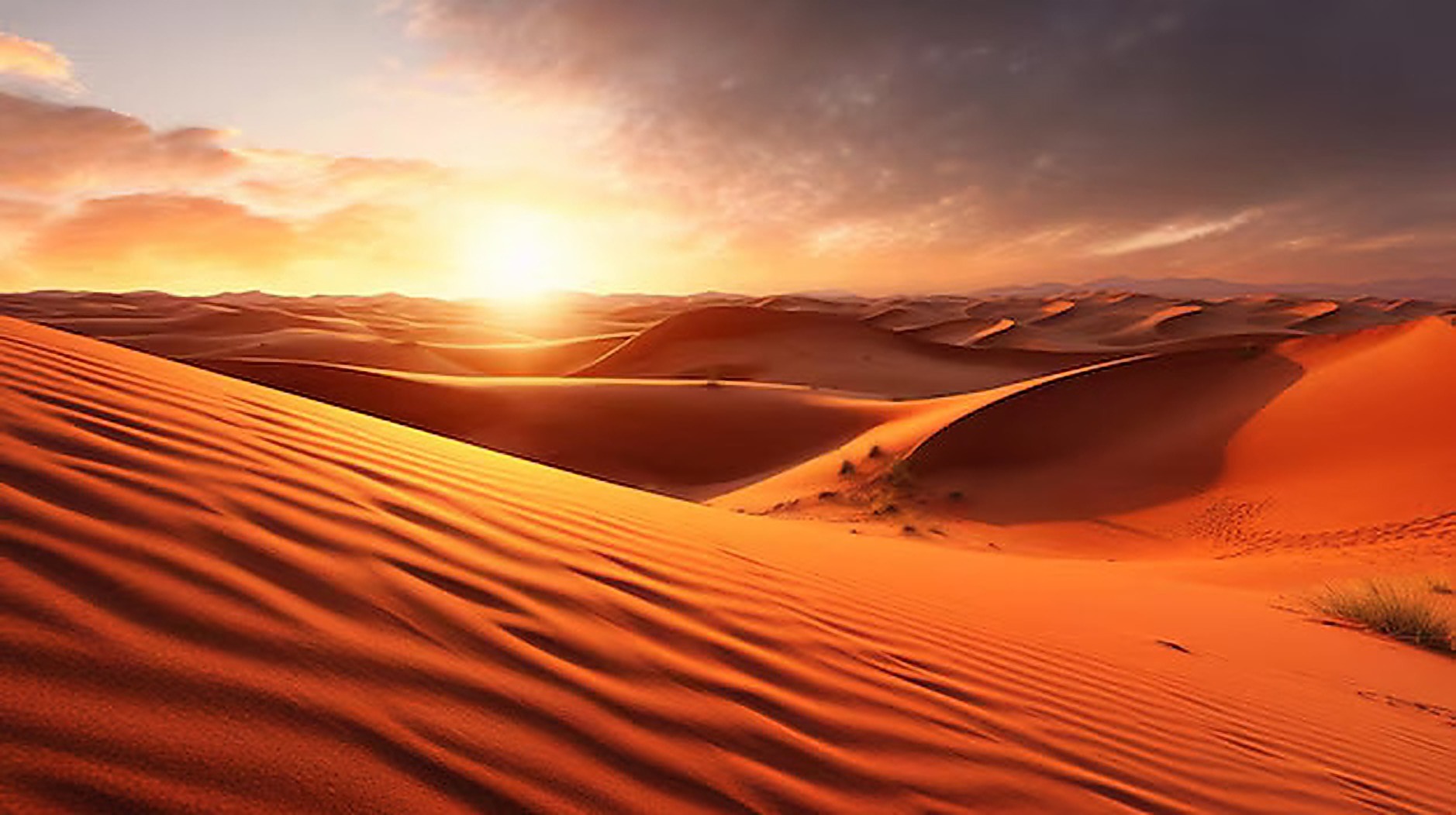 Desert sunset