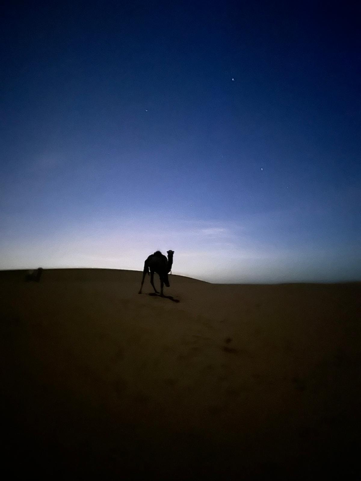 Morocco Day 7, Bonfire dinner