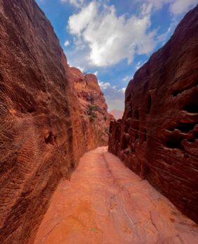 Petra, Egypt + Jordan