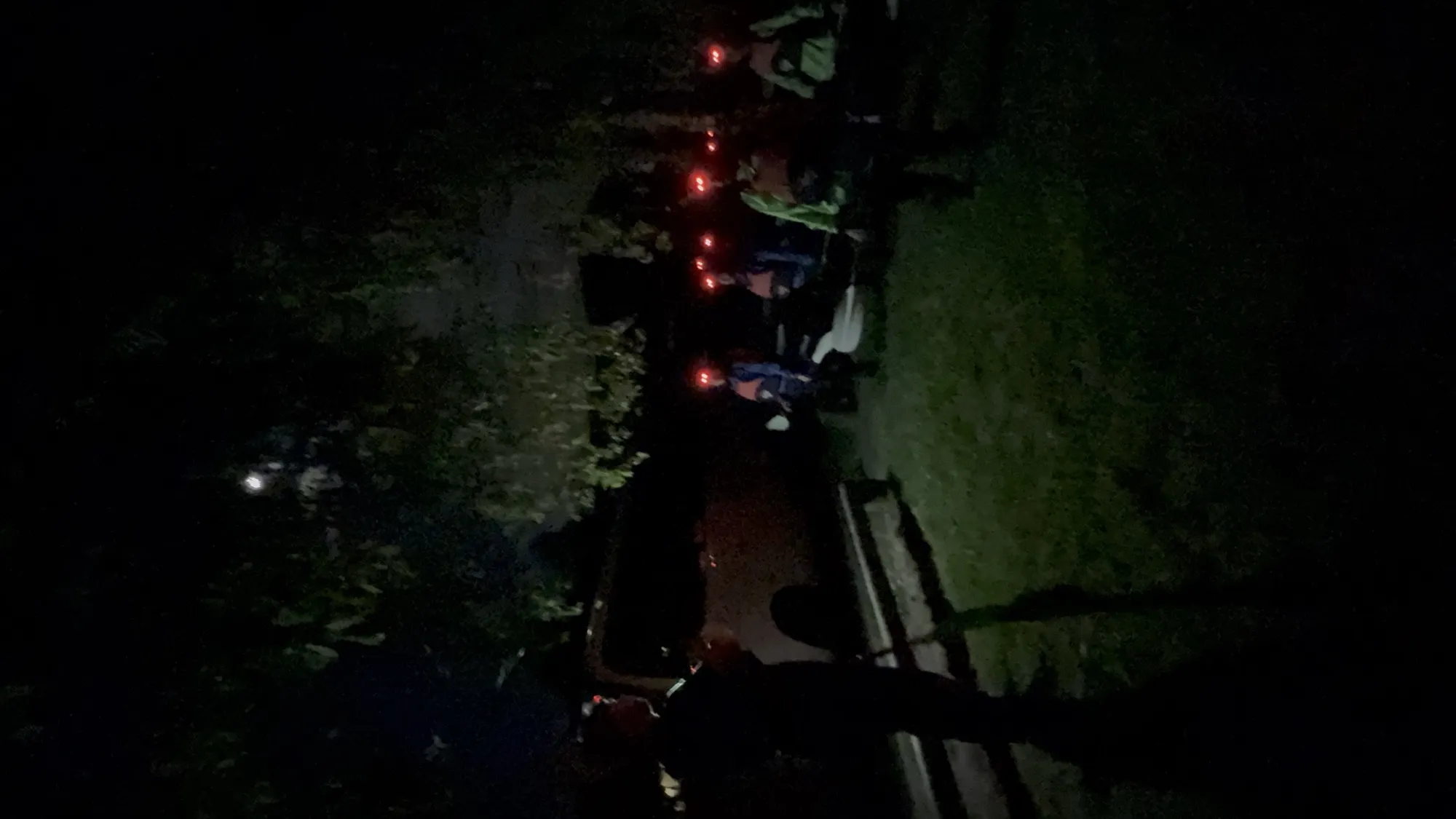 New zealand day 4 group night too dark blurry