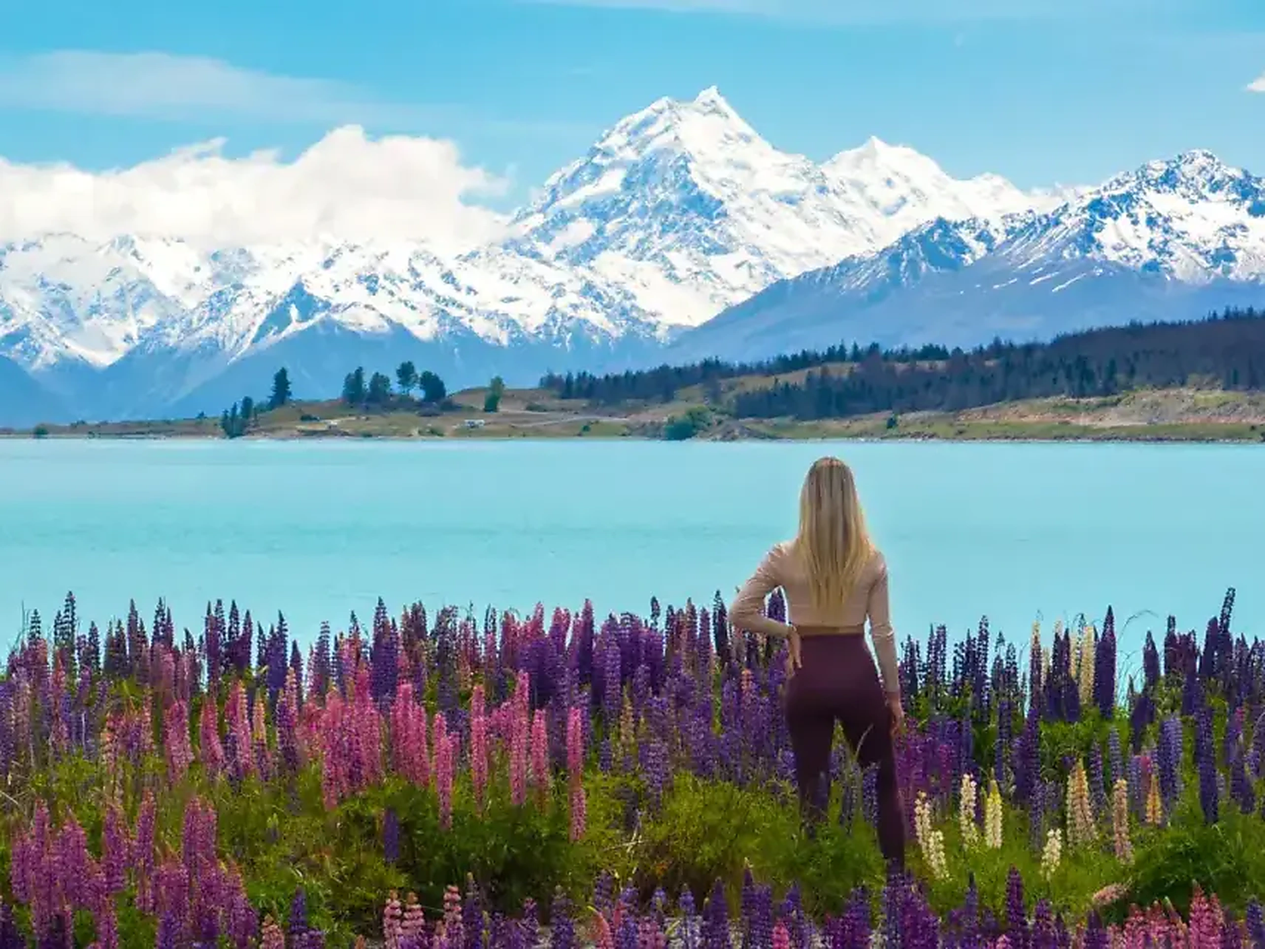 Mount Cook