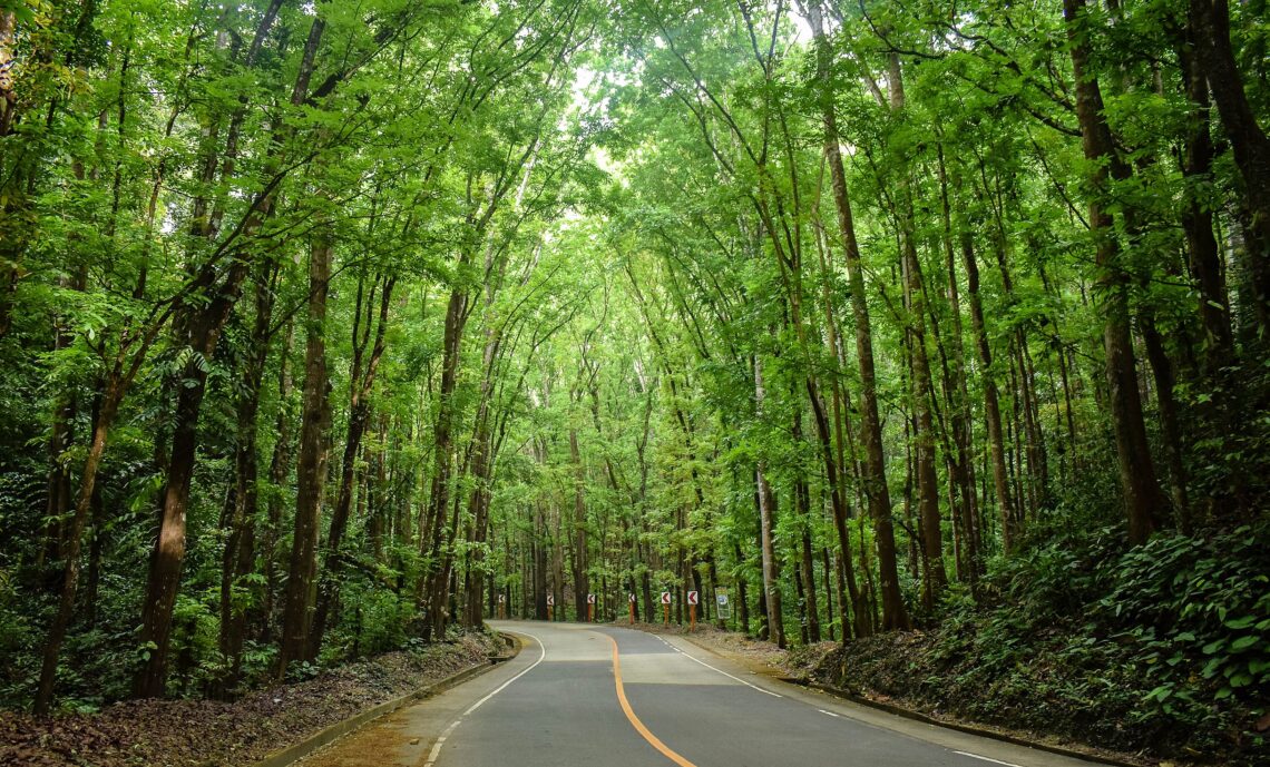 Forest, Philippines