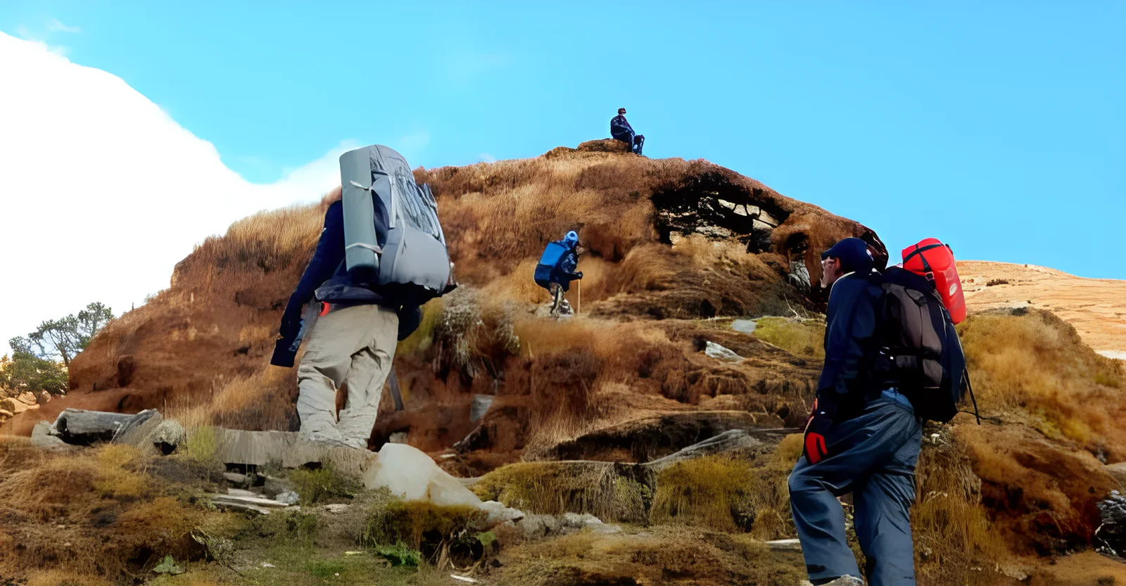 OJ group climbing a golden grass slope towards Ali Bugyal