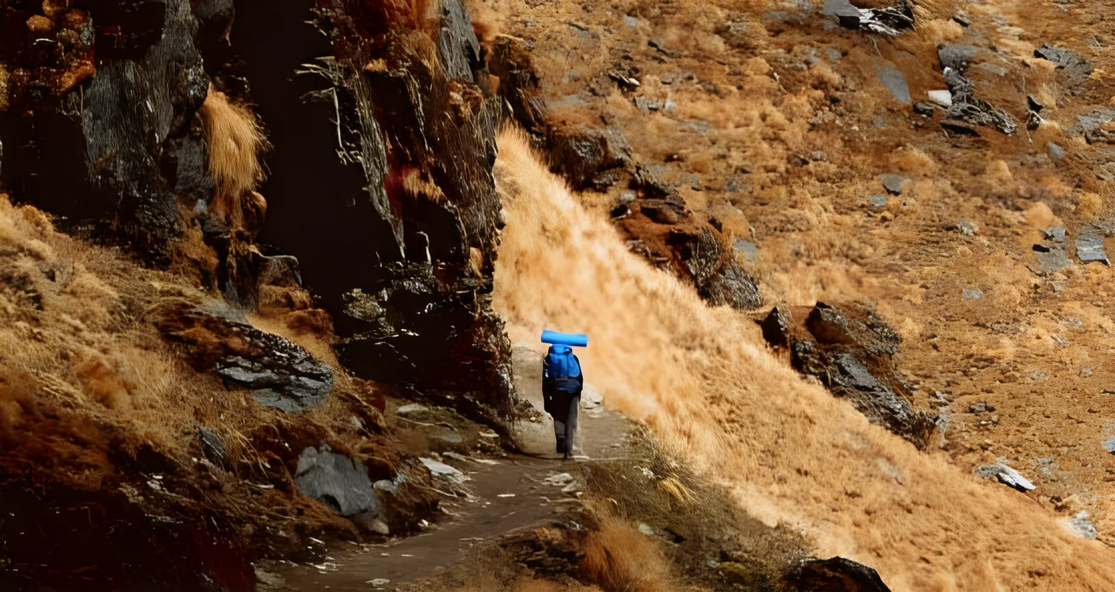 Trekker on the steep trail towards Bhagwabasa
