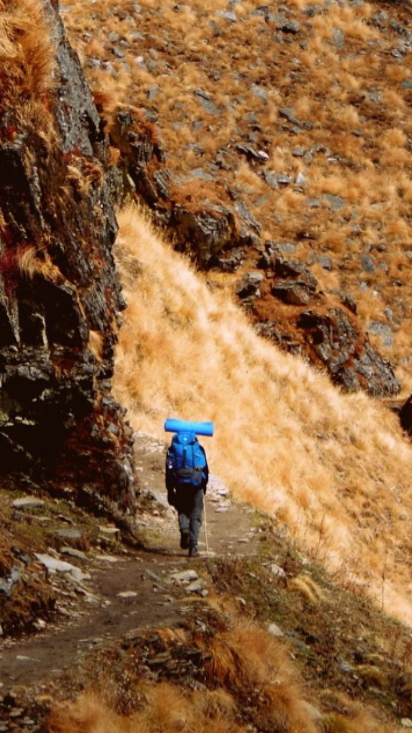 Trekker on the golden trail to Bhagwabasa