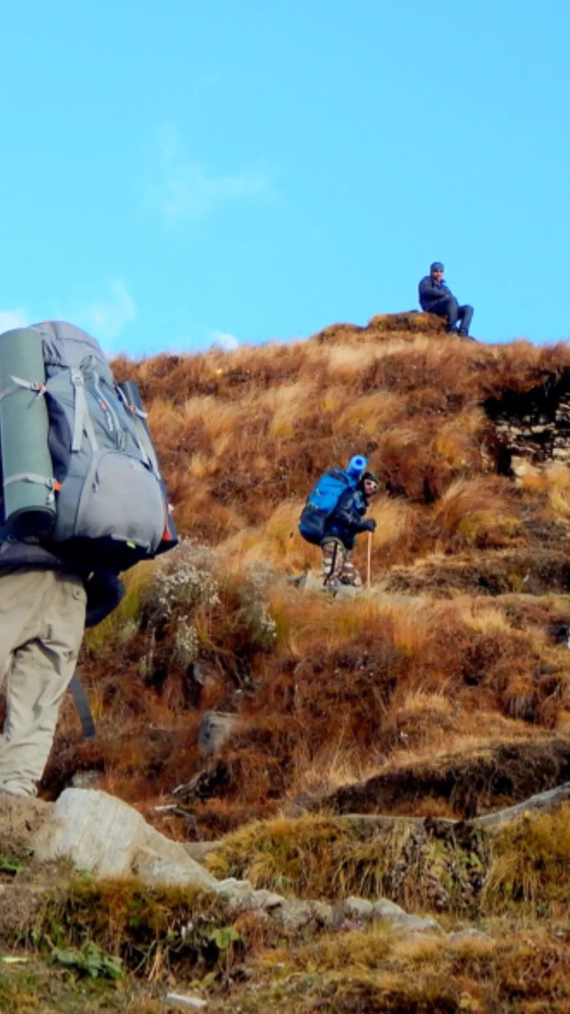 Climbing the golden slope towards Ali Bugyal