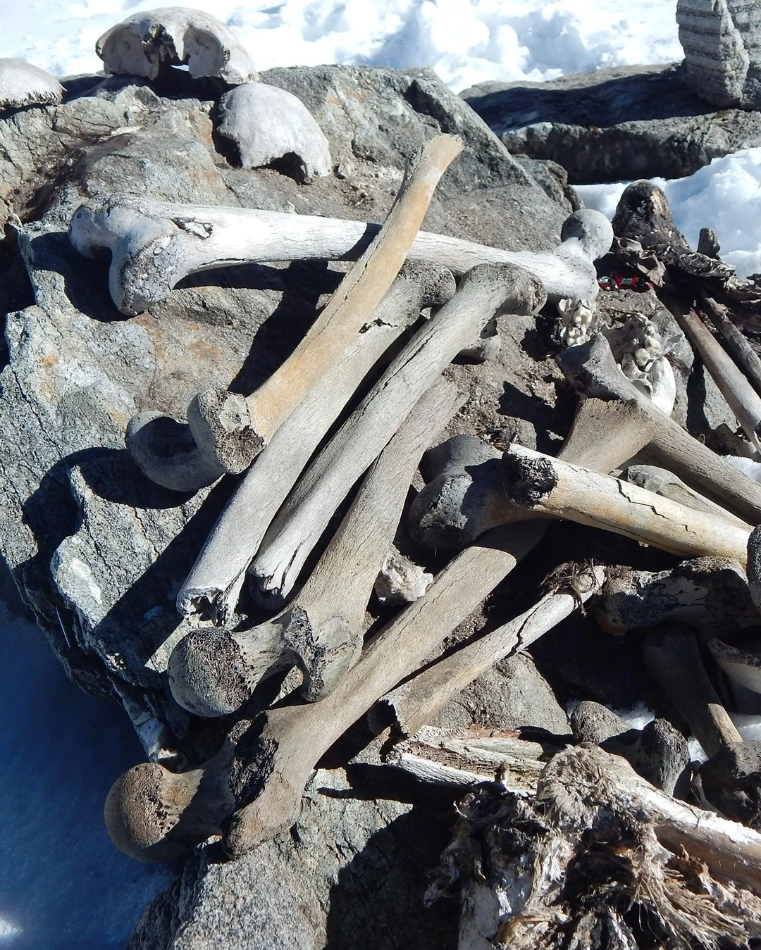Bones on the rocks at Roopkund