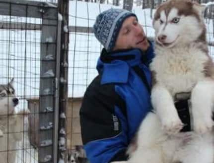 Husky sledge ride Arctic