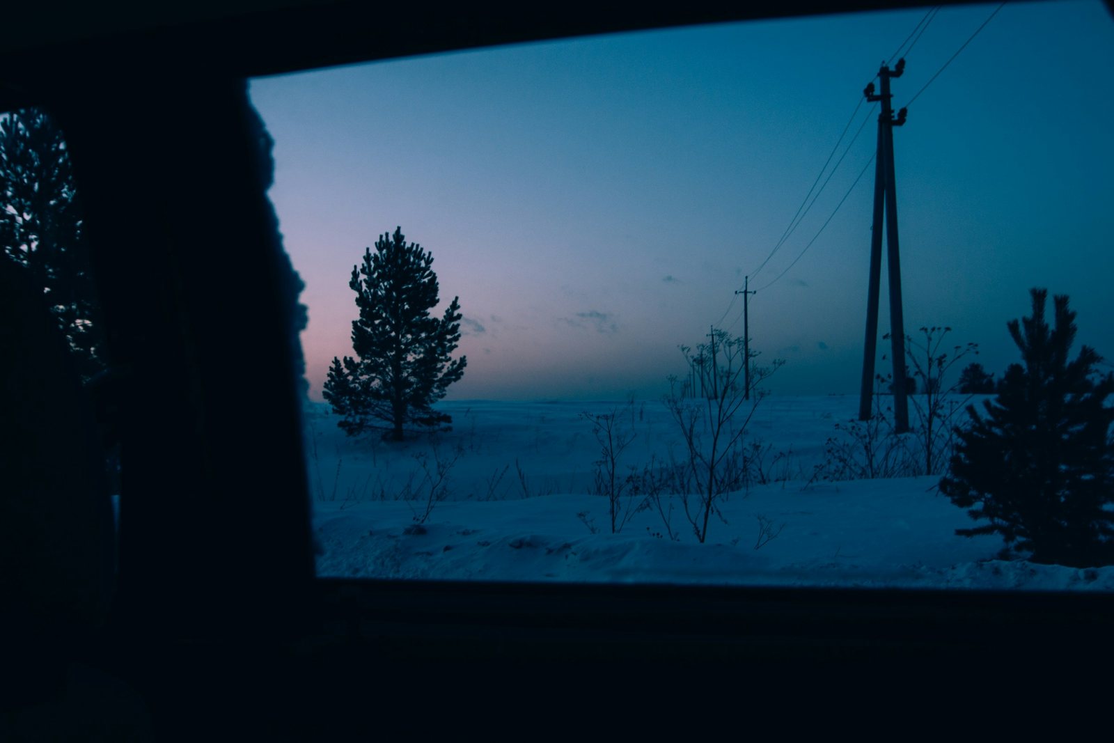 Snowy dusk from the window at the husky farm