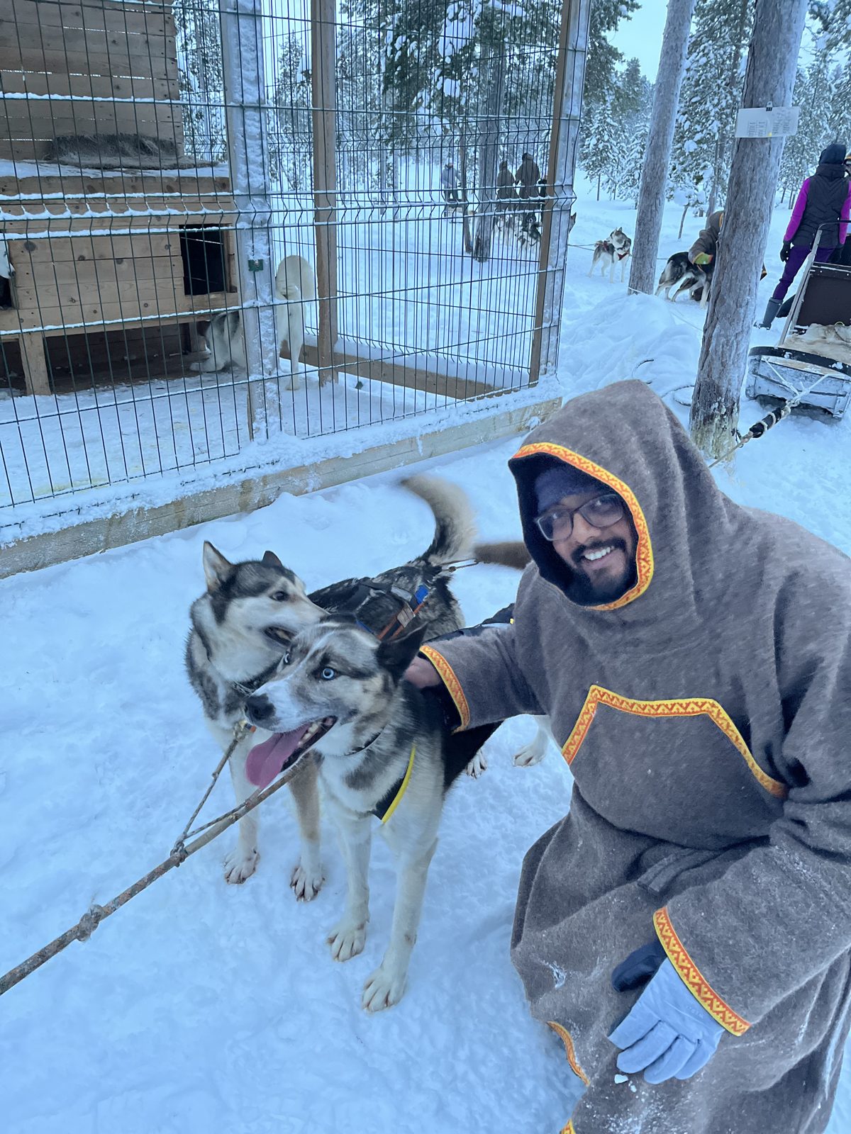Huskies at the husky farm near Murmansk