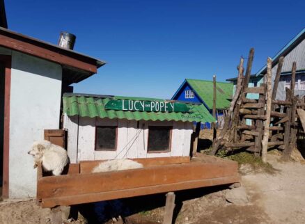 Sandakphu trek Day 2