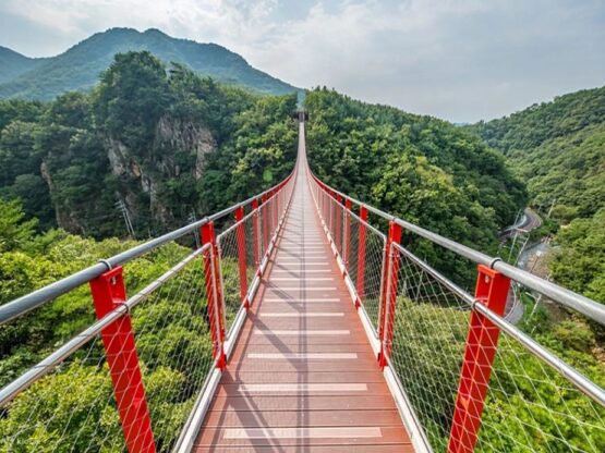 Nami Island train ride
