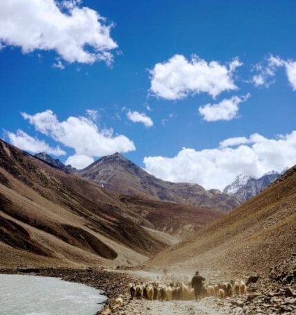 Pin Valley