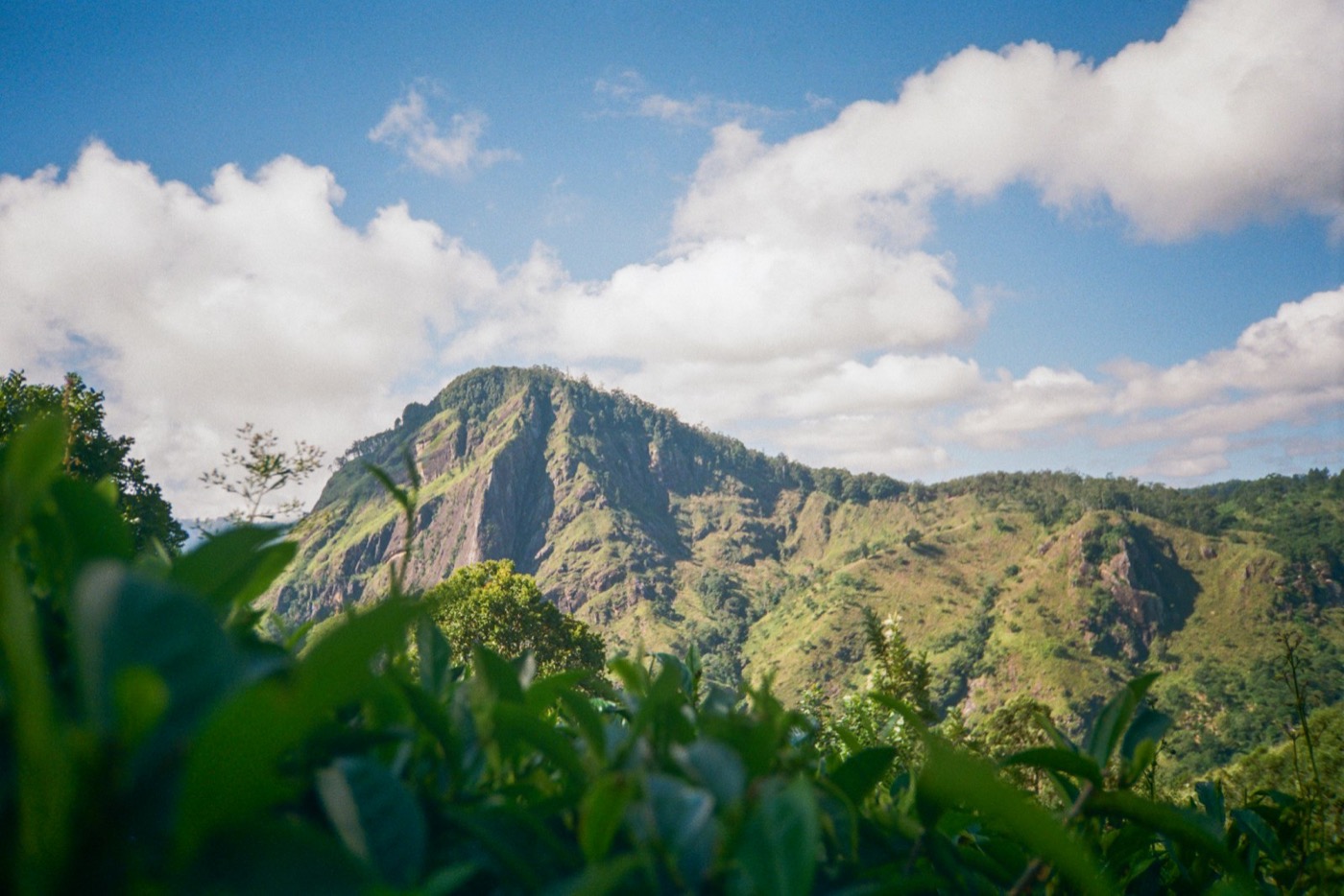The Ella Gap from Little Adam's Peak
