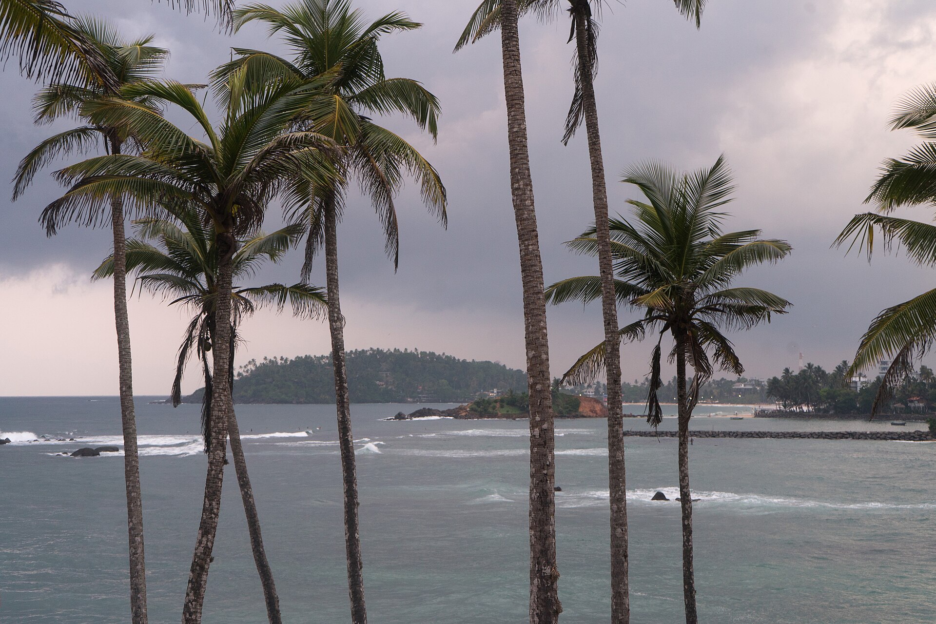Coconut Tree Hill, Mirissa