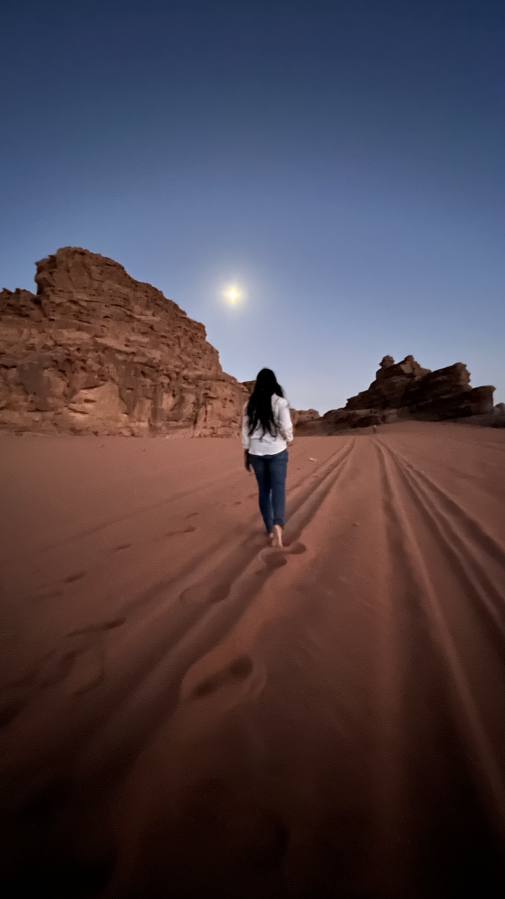 Out in the Sinai desert after dark under a moonlit sky