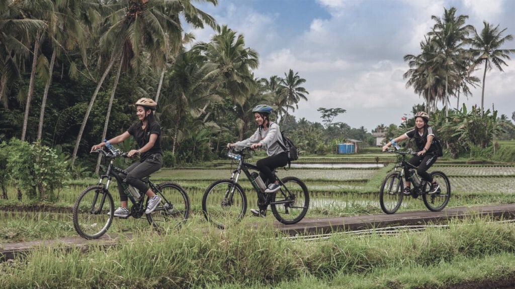 Cycling Tours in Ubud