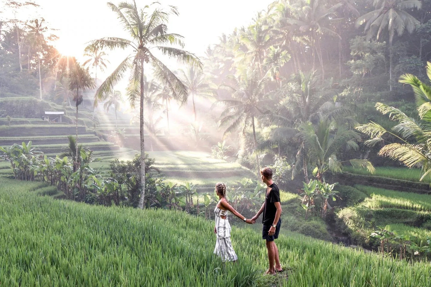 Tegallalang Rice Terrace Field,Tegalalang Village,Balinese culture