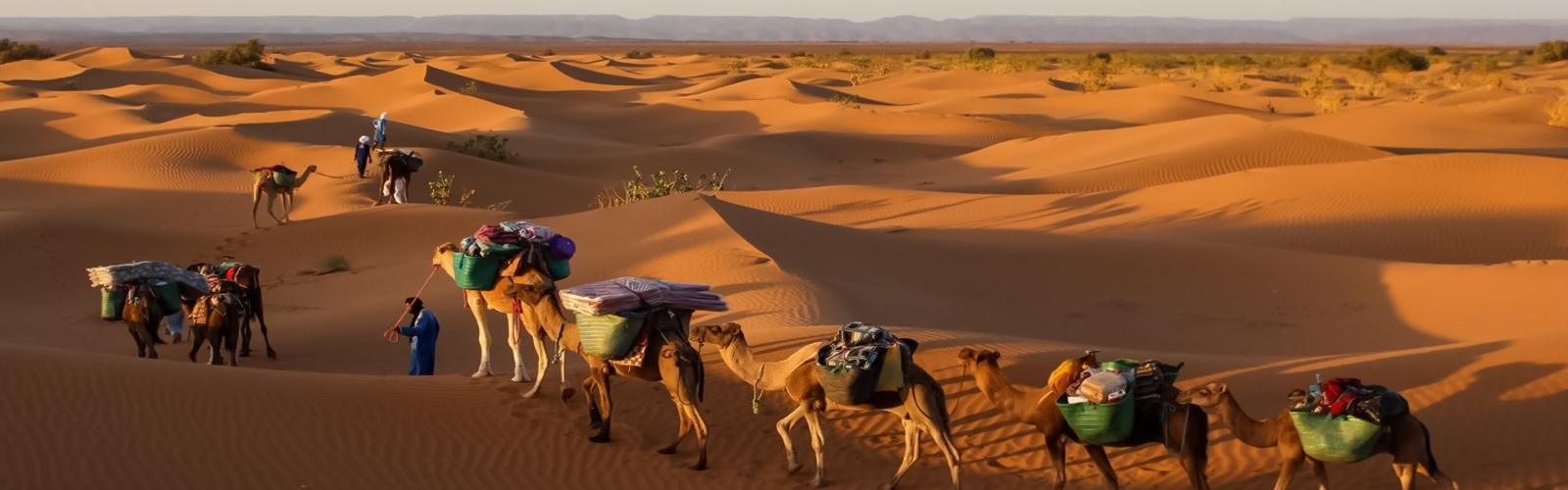 Camel Treks In Morocco