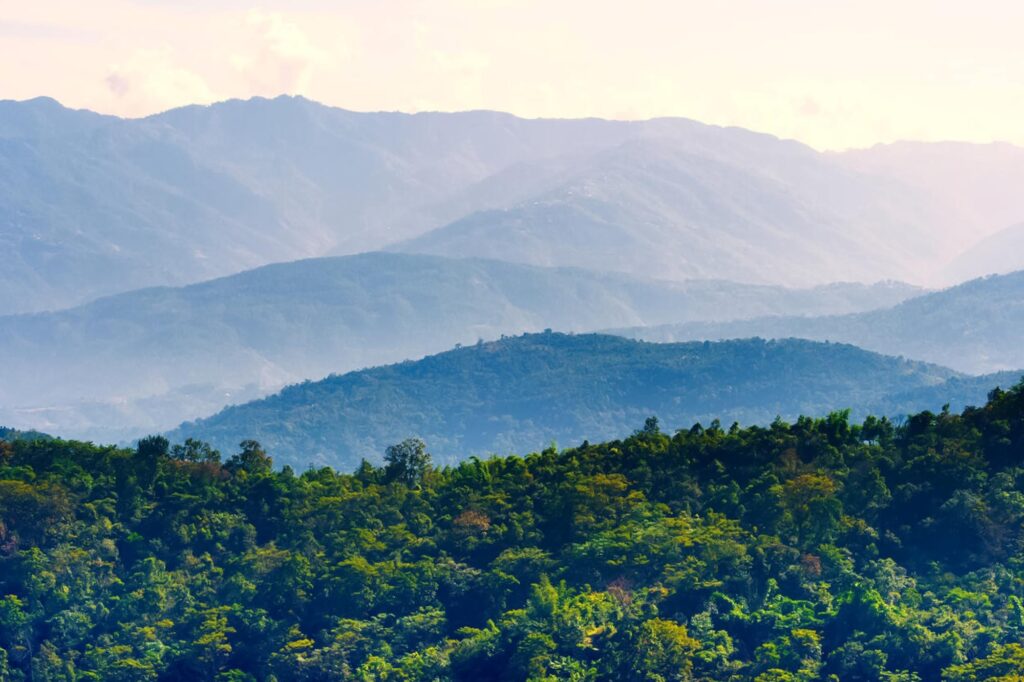 Hills View Kohima