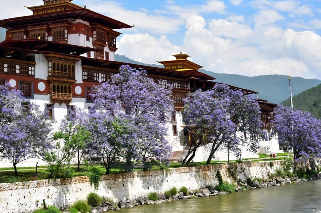 Spring in Bhutan