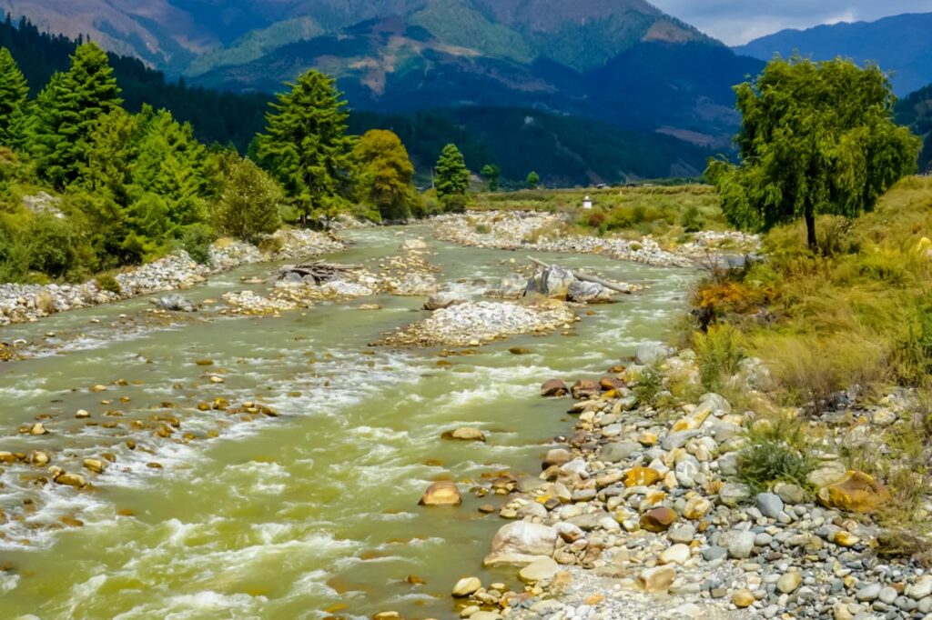 The Spirits Of Tang Valley