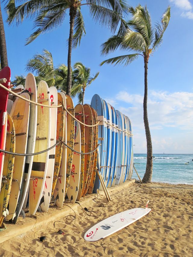 Top 7 Tourist Attractions in Honolulu