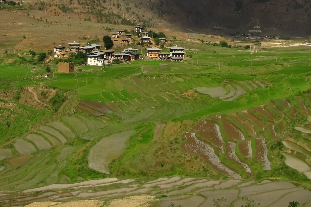 Horticulture Farm Bhutan