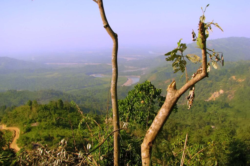 Naginimora Reserve Forest