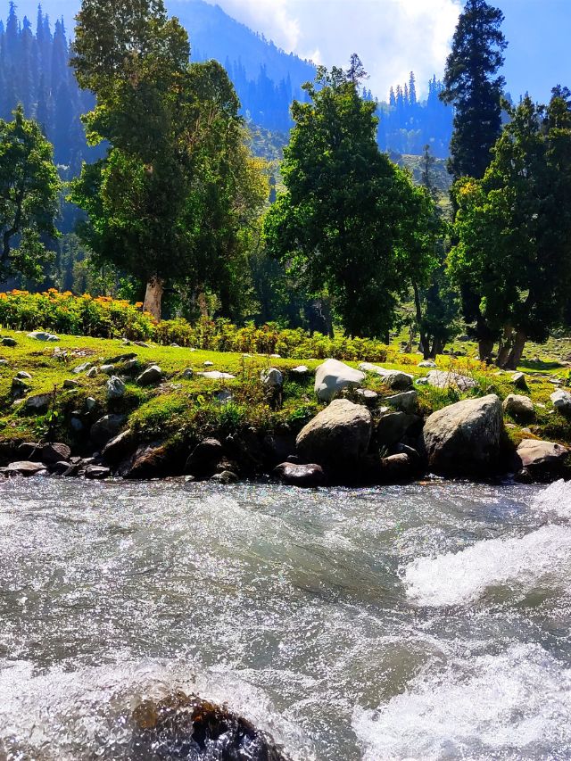 Top 7 Tourist Attractions in Sonamarg