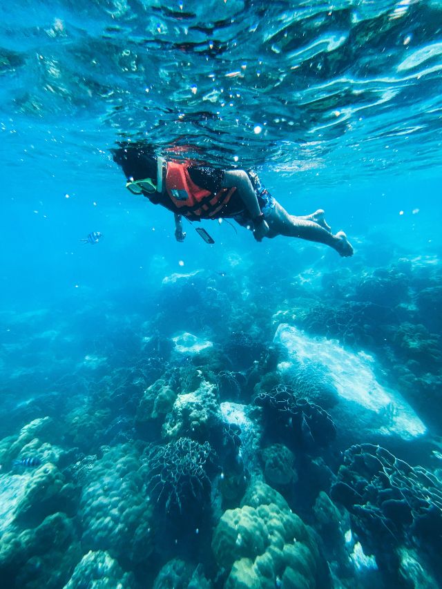 7 Best Snorkeling Sites for Underwater Beauty in Bali