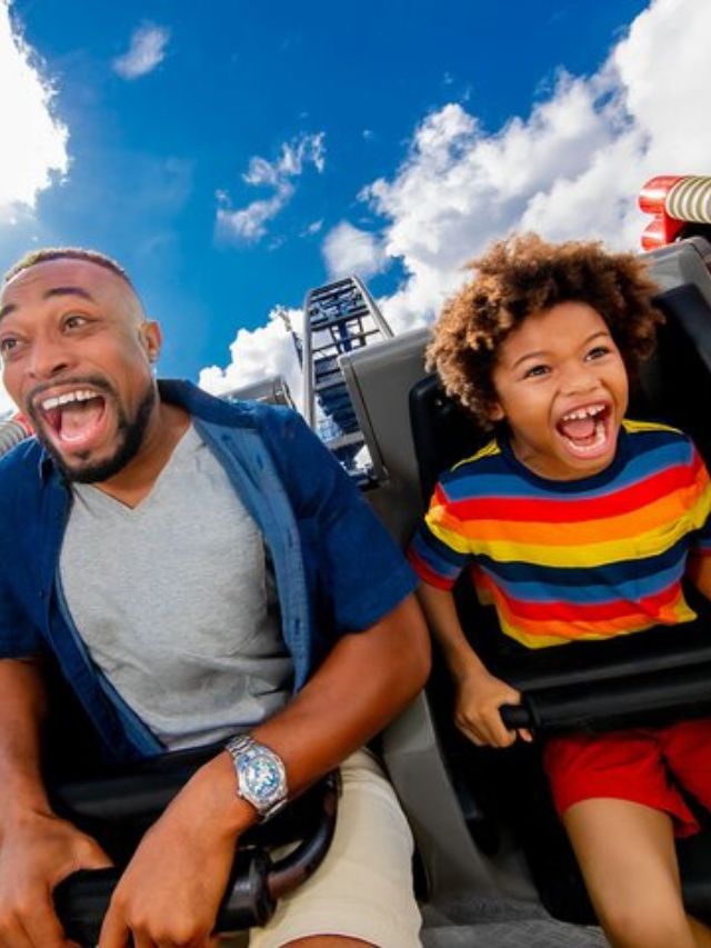 7 Best Theme Parks for Family Fun in Florida