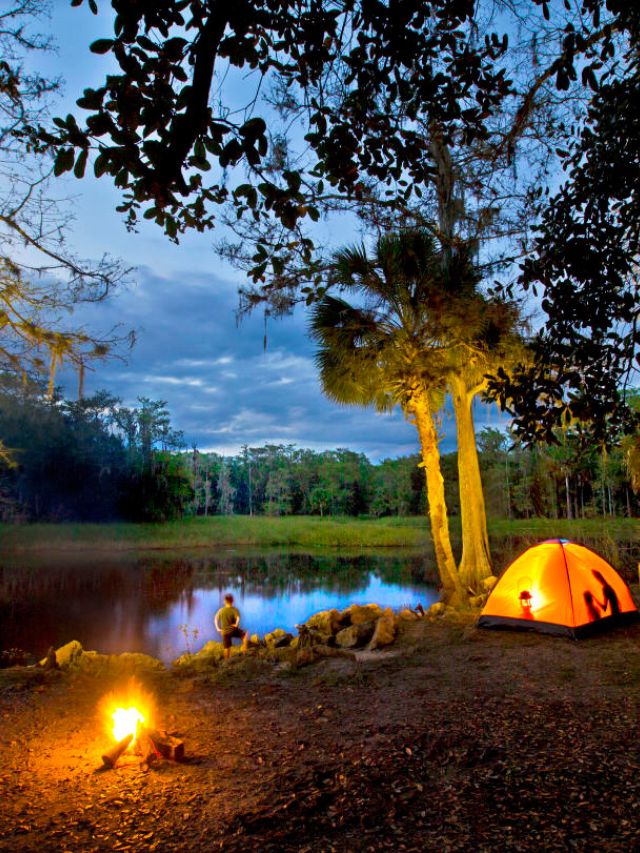 7 Best Camping Sites in Florida’s Wilderness